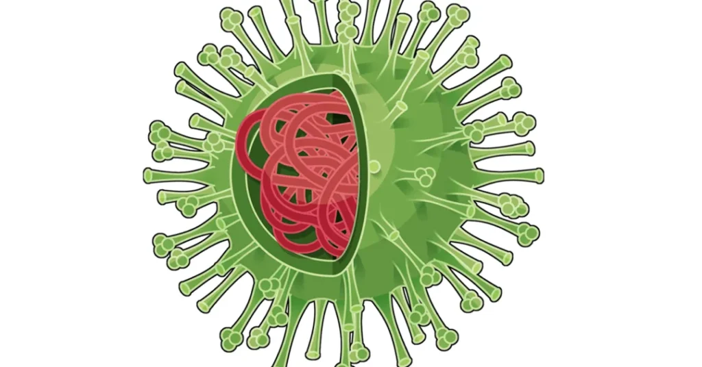 H1N1: O que é, sintomas, tratamentos e causas